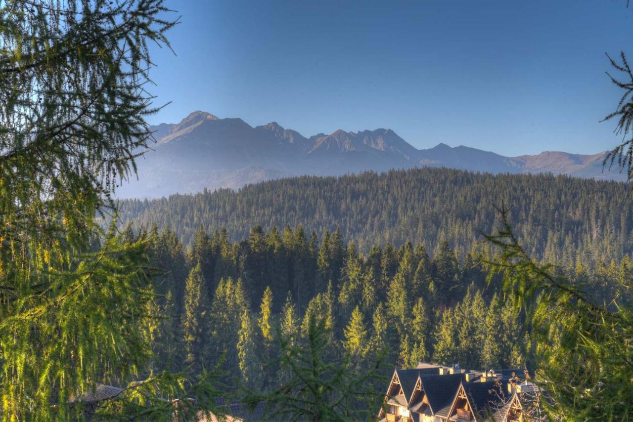 Hotel Rysy Bukowina Tatrzańska Exterior foto